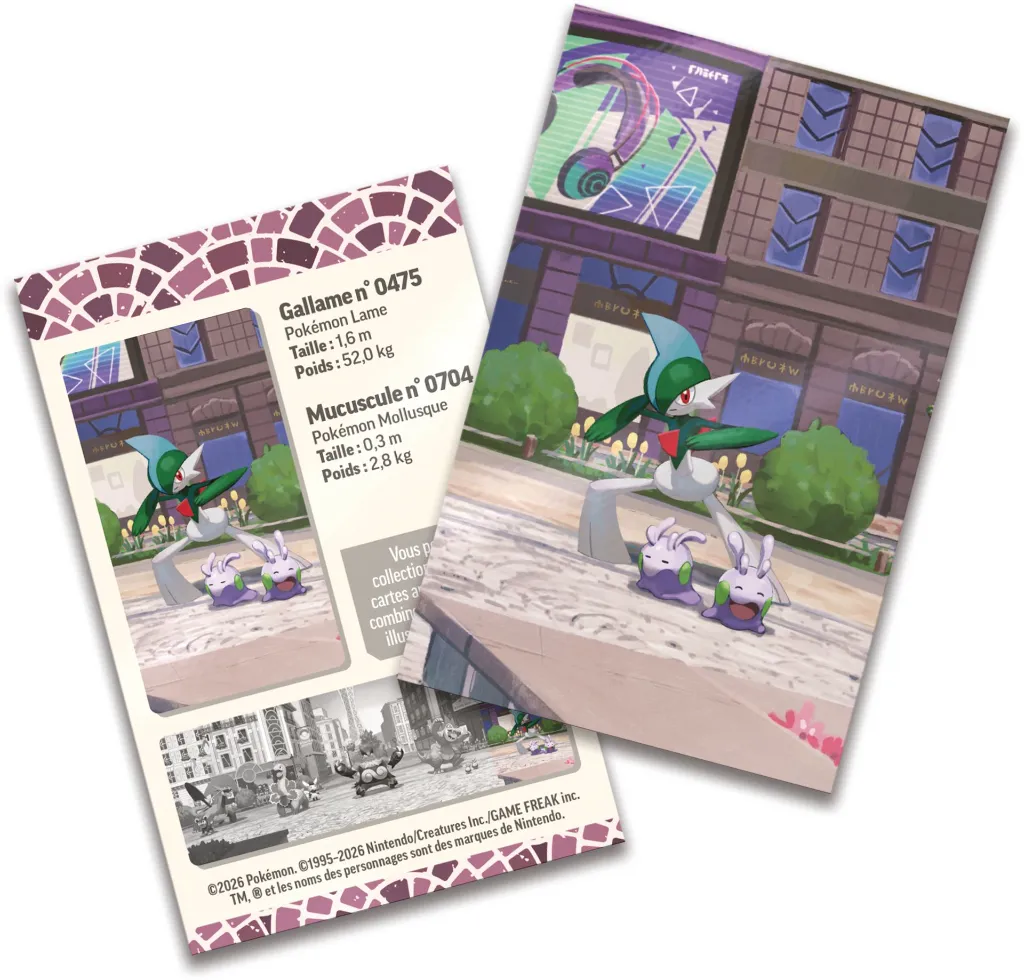 38.webp