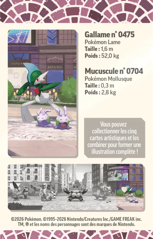 40.webp